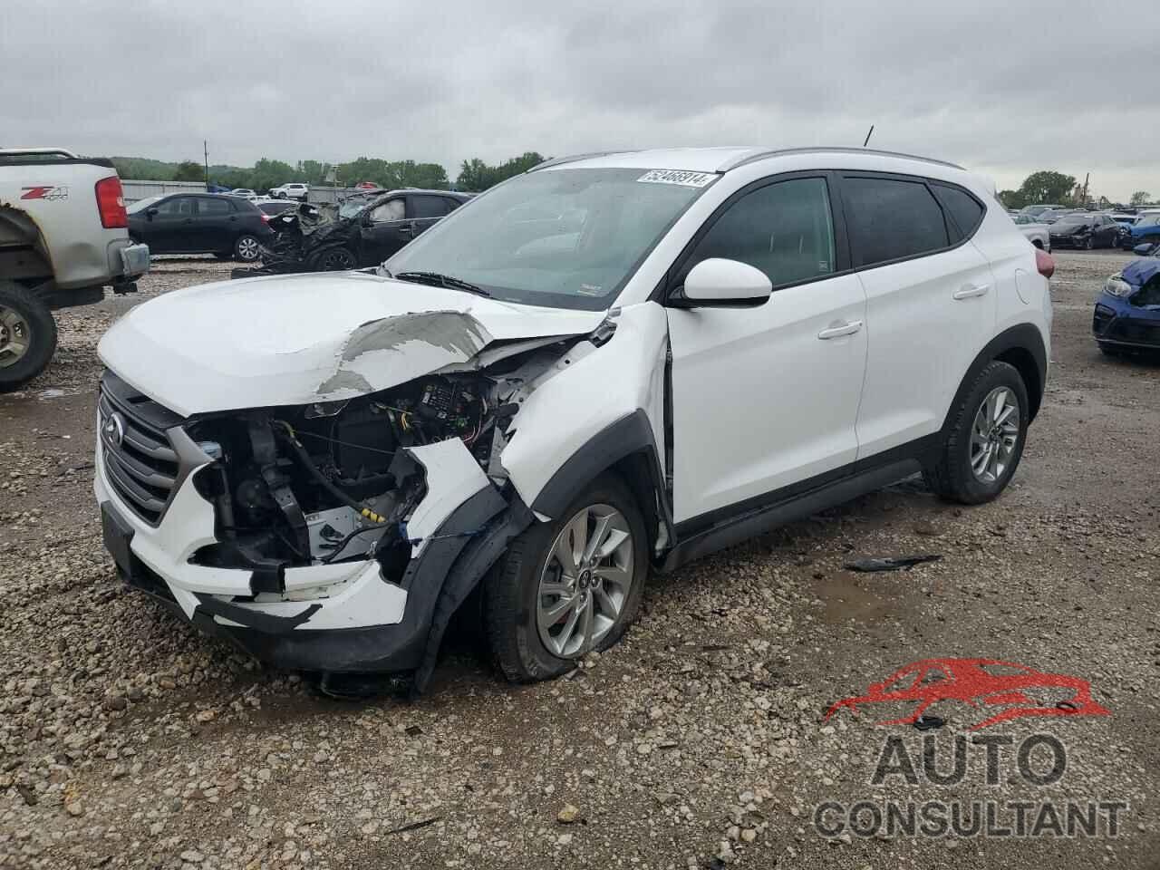 HYUNDAI TUCSON 2016 - KM8J33A43GU193998