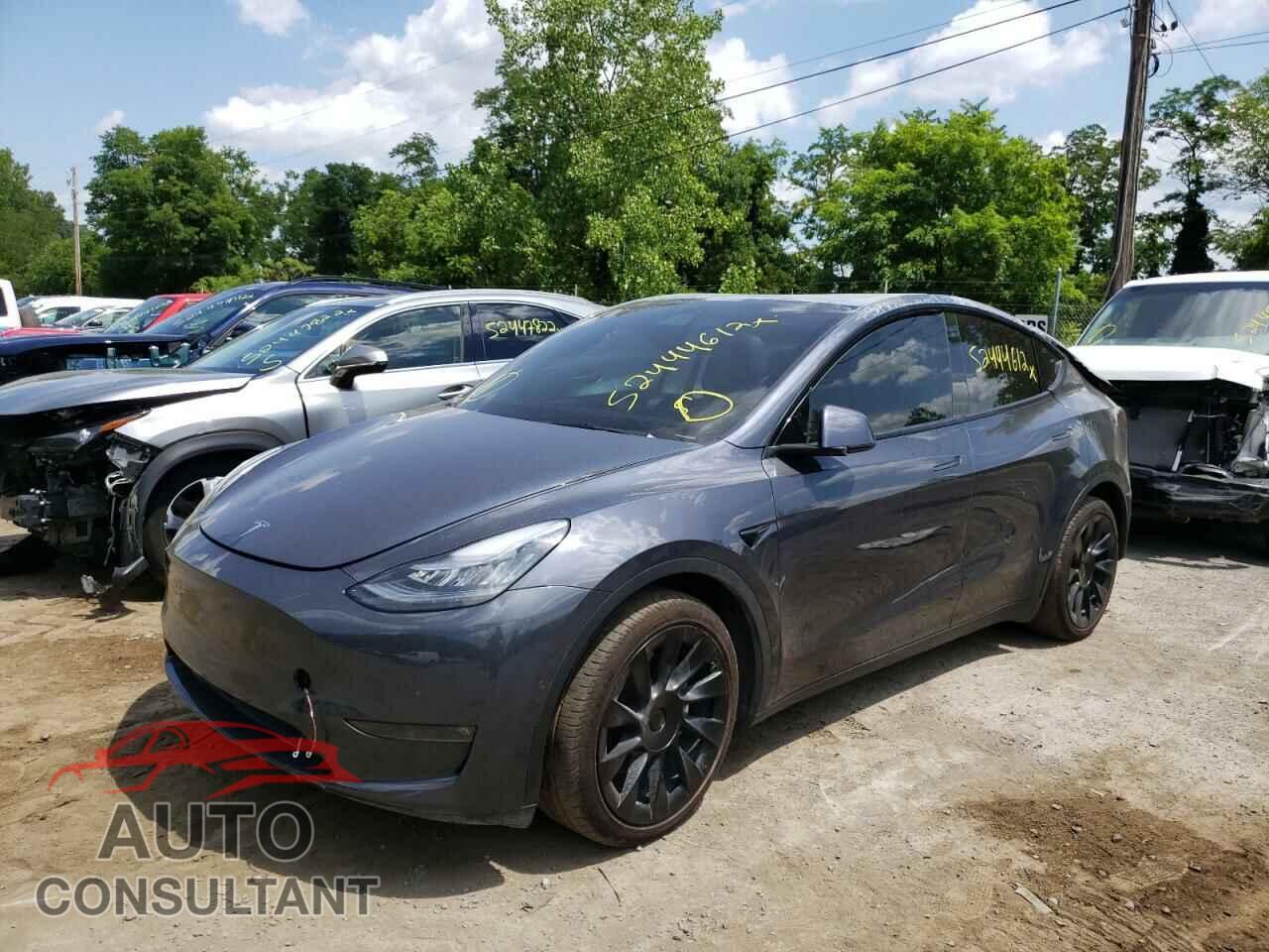 TESLA MODEL Y 2021 - 5YJYGDEE5MF115324