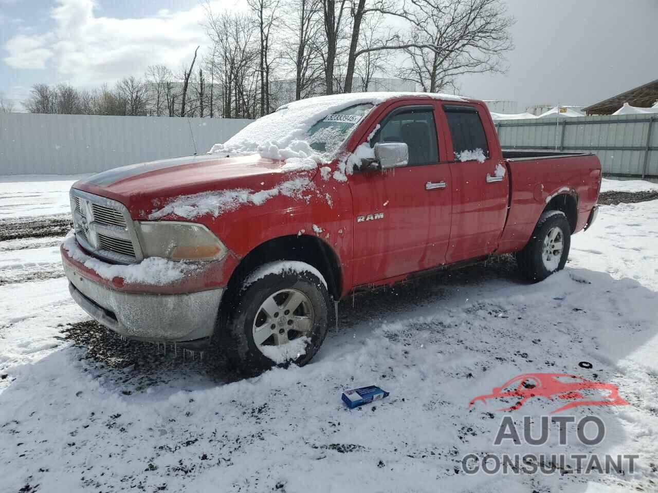 DODGE All Models 2010 - 1D7RB1GP6AS103932