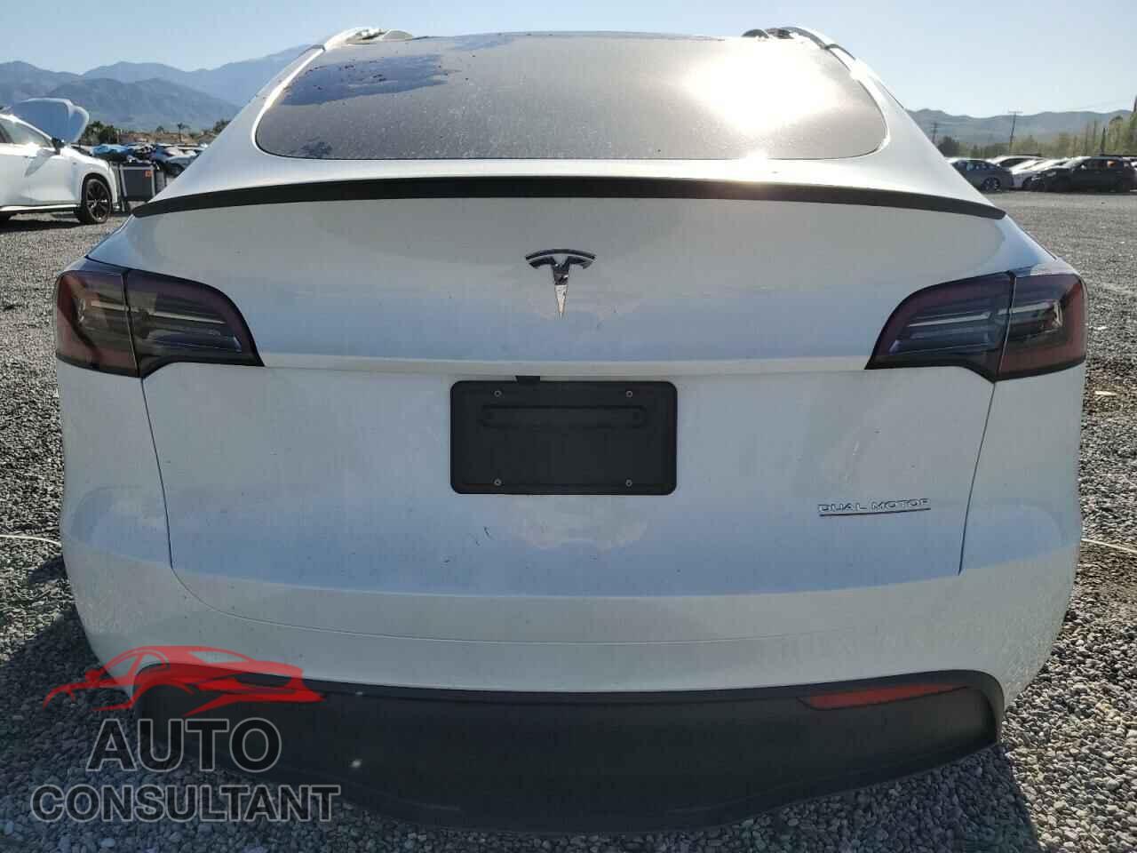 TESLA MODEL Y 2024 - 7SAYGDEF2RF061404
