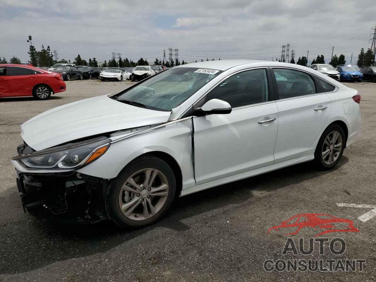 HYUNDAI SONATA 2019 - 5NPE34AF6KH810150