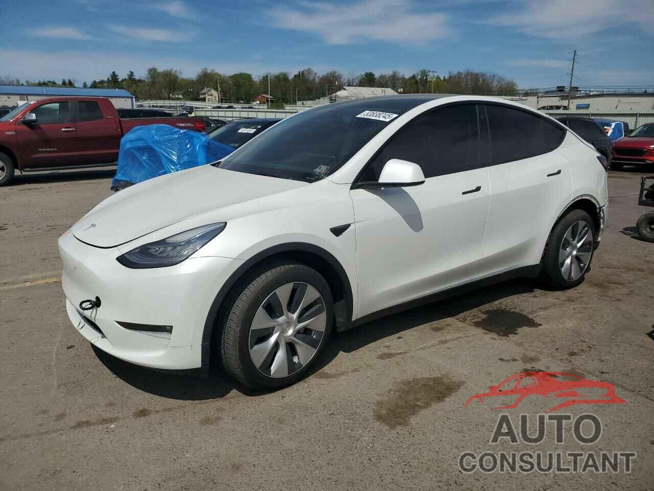 TESLA MODEL Y 2021 - 5YJYGDEE3MF181192