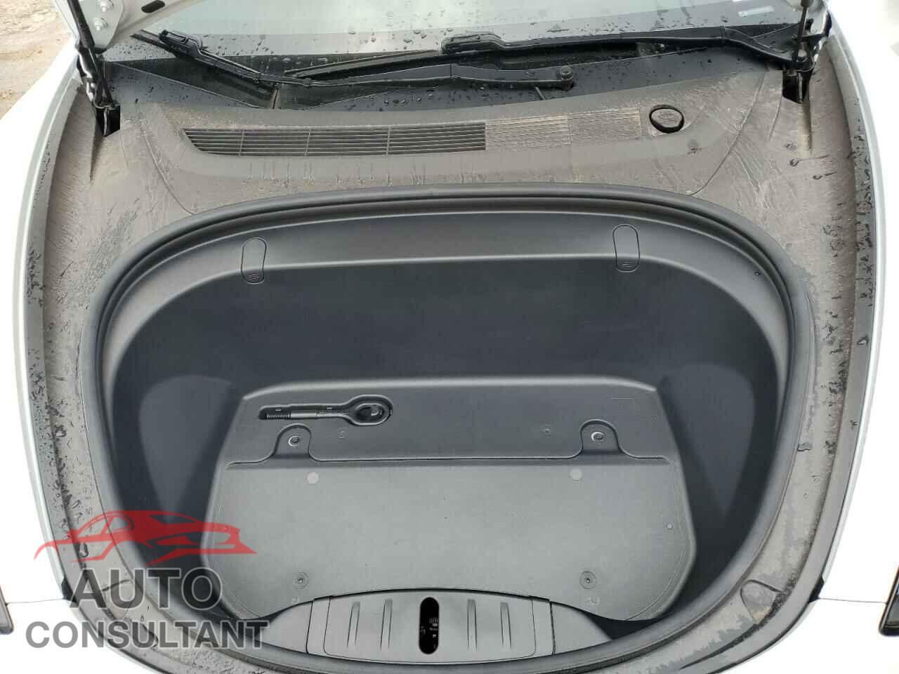 TESLA MODEL 3 2019 - 5YJ3E1EA0KF419430