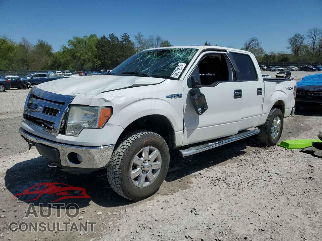 FORD F-150 2013 - 1FTFW1EF2DFD80408