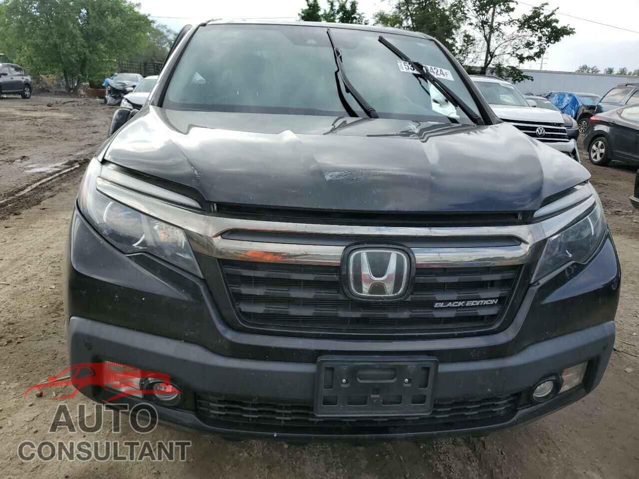 HONDA RIDGELINE 2019 - 5FPYK3F85KB036743