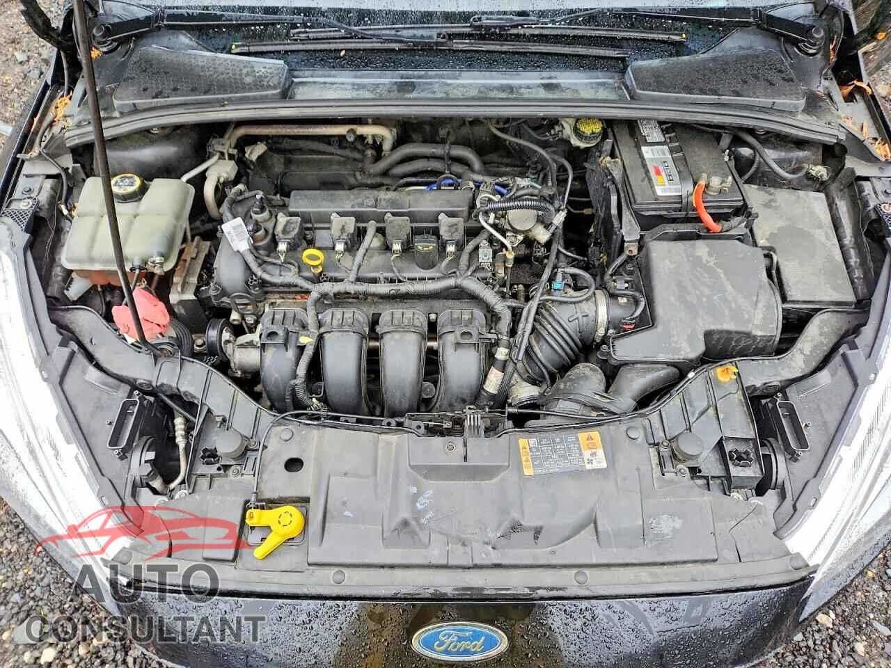 FORD FOCUS 2016 - 1FADP3F20GL402865