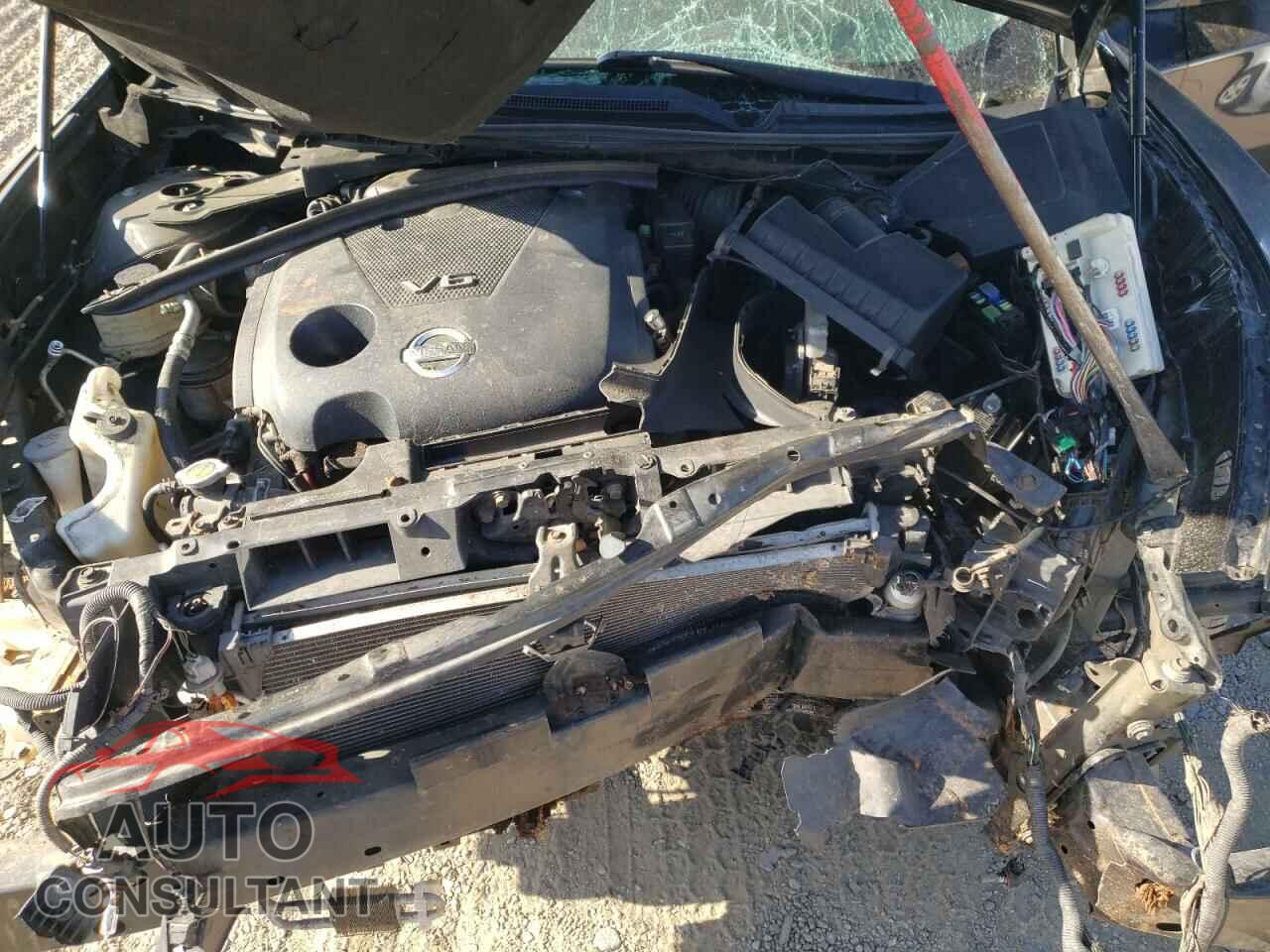 NISSAN MAXIMA 2011 - 1N4AA5AP4BC852563
