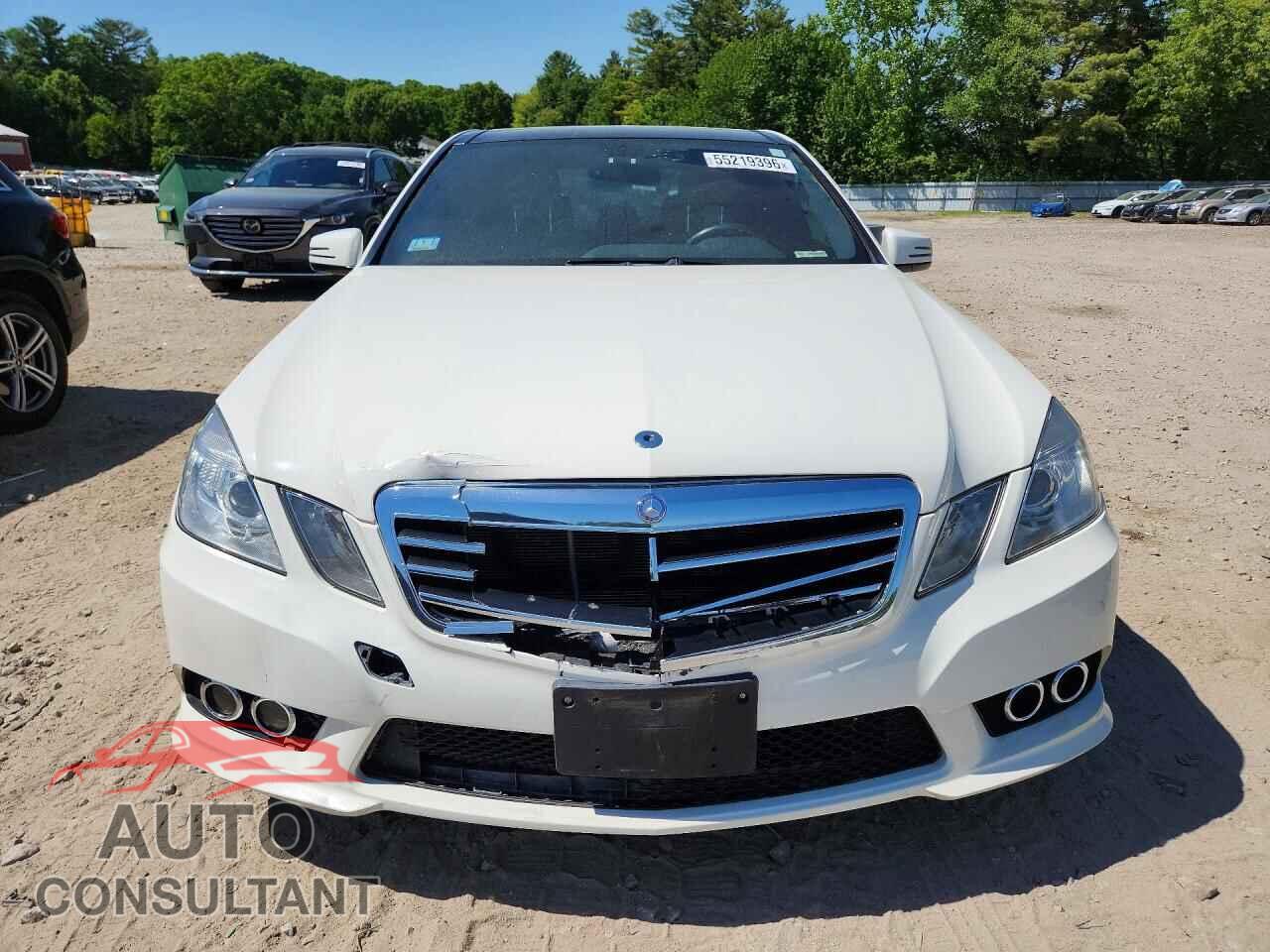 MERCEDES-BENZ E-CLASS 2010 - WDDHF8HB3AA251568