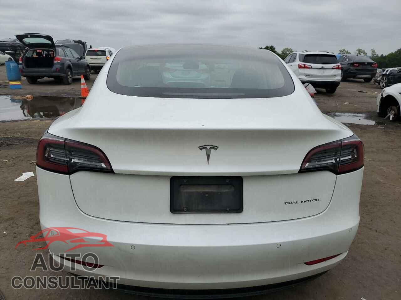 TESLA MODEL 3 2019 - 5YJ3E1EB0KF442232