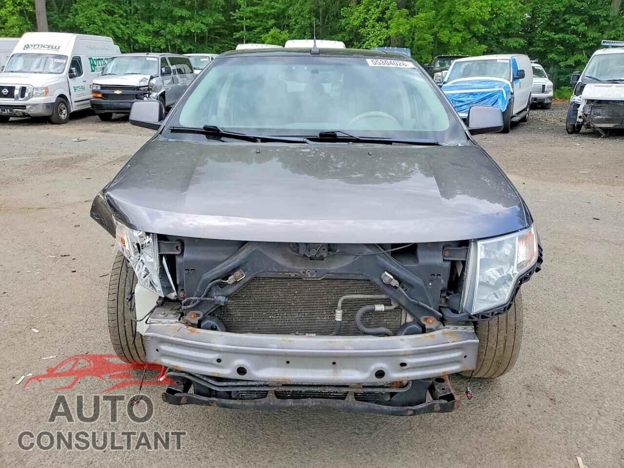 FORD EDGE 2009 - 2FMDK48C09BA85687