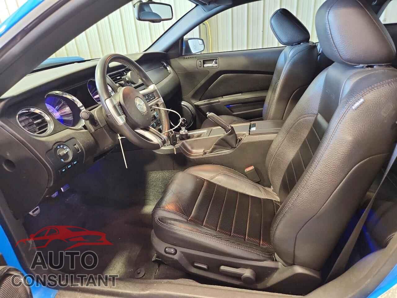 FORD MUSTANG 2011 - 1ZVBP8CF5B5111956