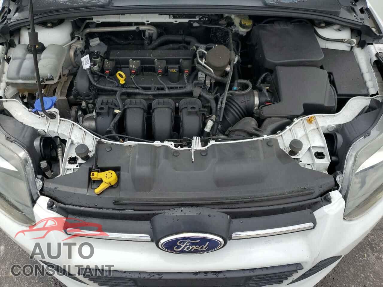 FORD FOCUS 2014 - 1FADP3F29EL436431