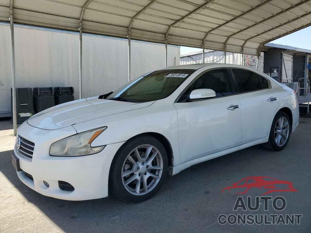 NISSAN MAXIMA 2010 - 1N4AA5AP2AC838059