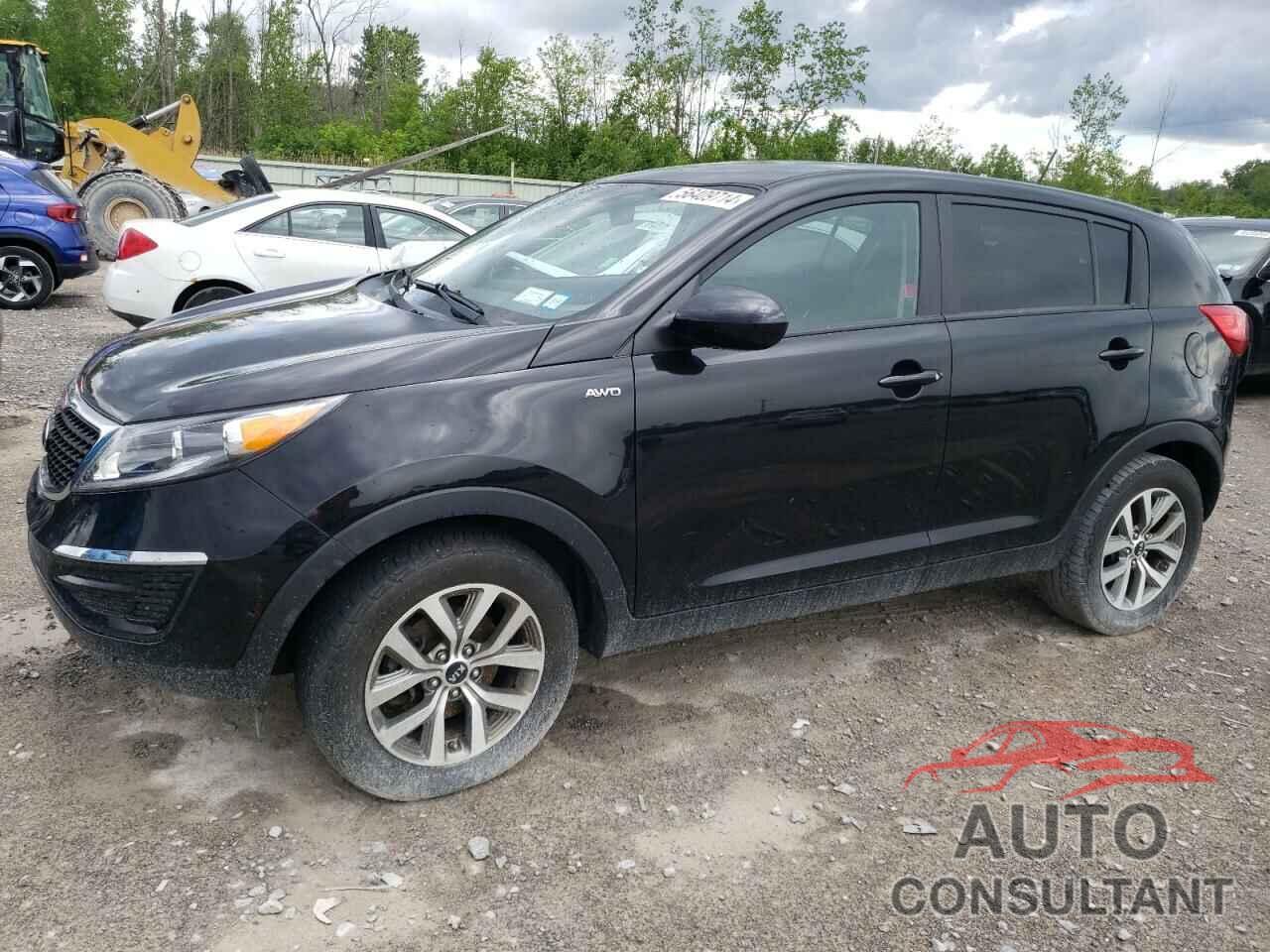 KIA SPORTAGE 2016 - KNDPBCAC9G7877459