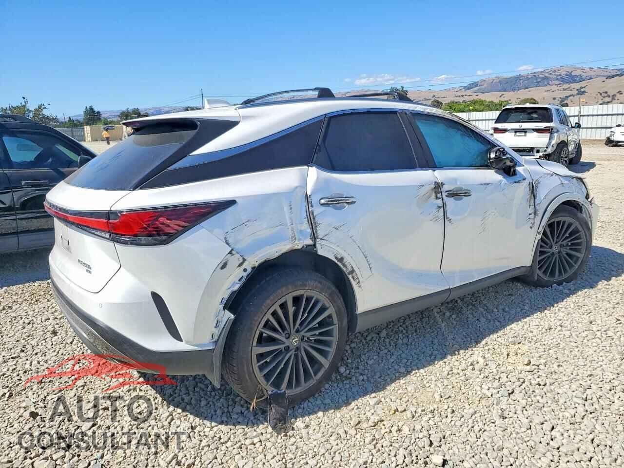 LEXUS RX300 2024 - 2T2BBMCA9RC058010