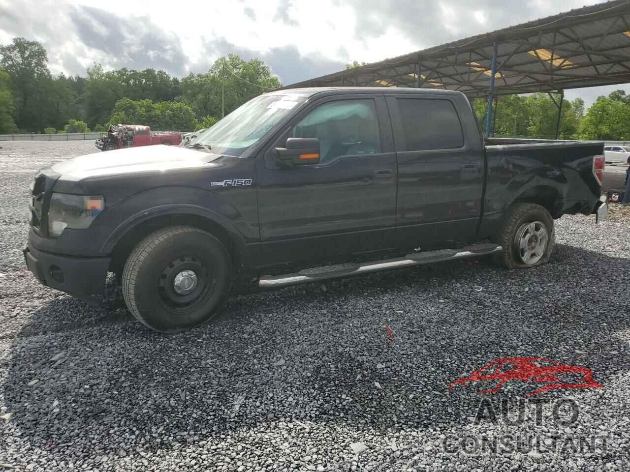 FORD F-150 2010 - 1FTEW1C81AFA97042