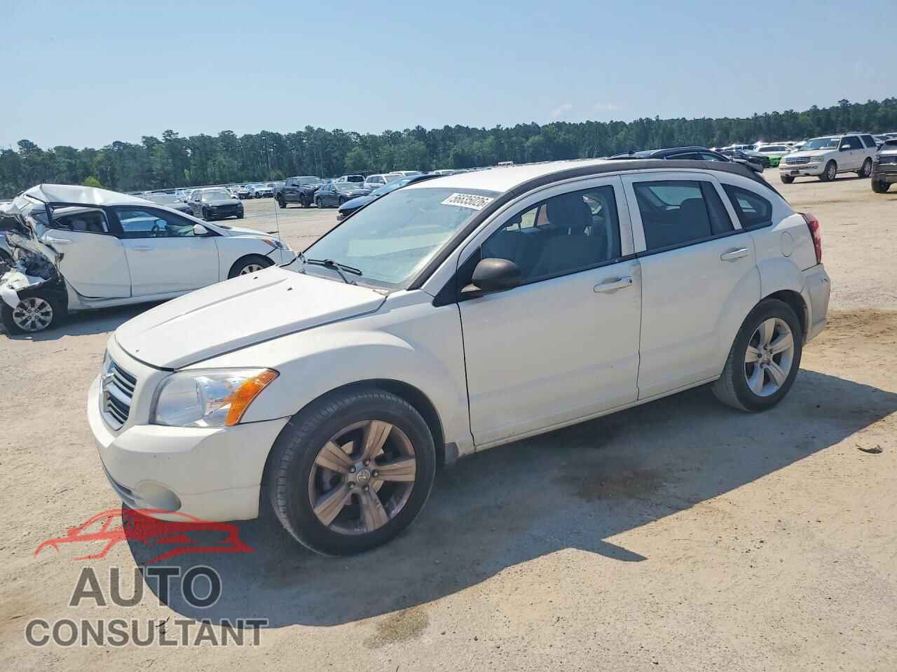 DODGE CALIBER 2010 - 1B3CB3HA1AD604464