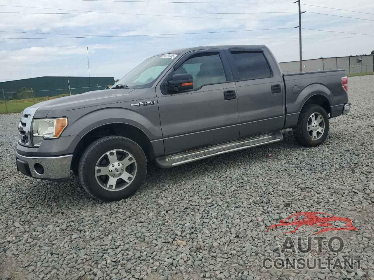 FORD F-150 2010 - 1FTEW1C82AFD78105