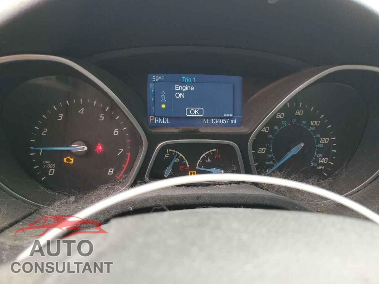 FORD FOCUS 2014 - 1FADP3F20EL196170