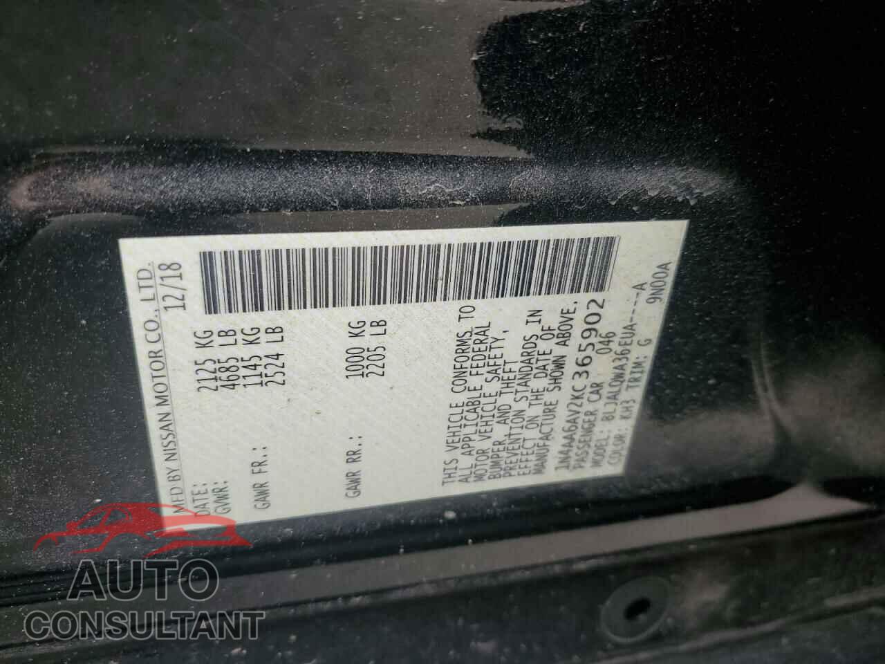 NISSAN MAXIMA 2019 - 1N4AA6AV2KC365902