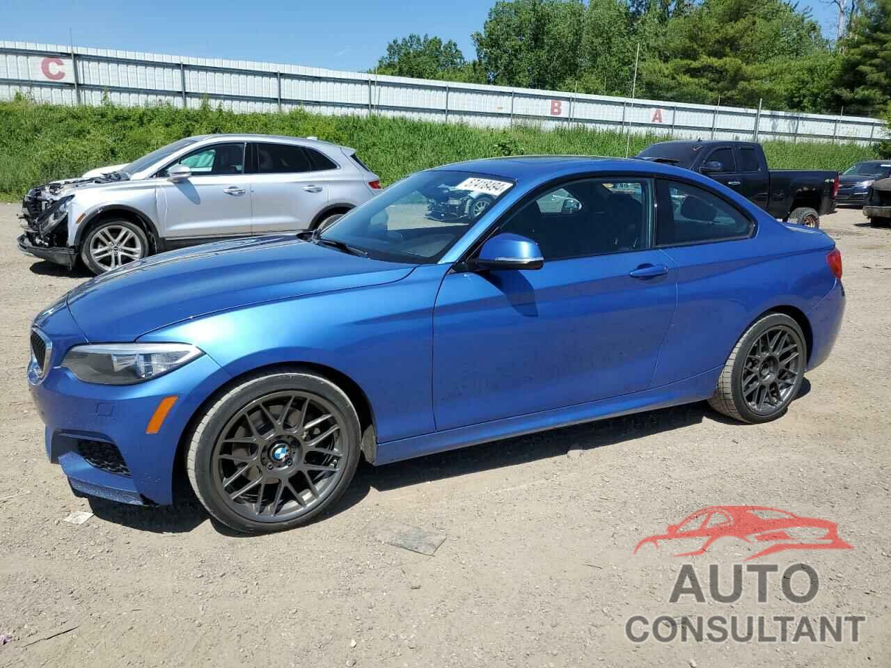 BMW 2 SERIES 2016 - WBA1G9C50GV599679