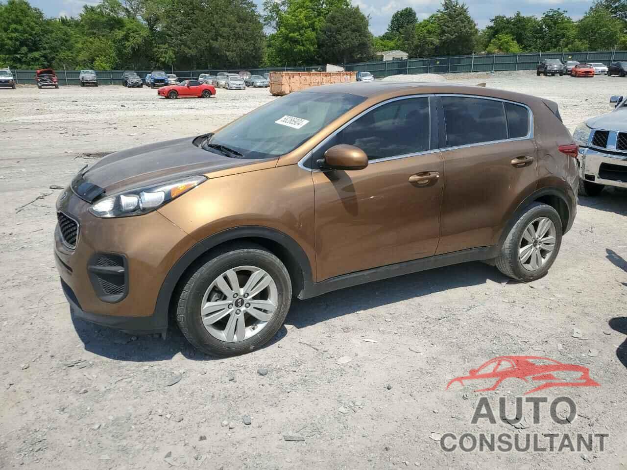 KIA SPORTAGE 2017 - KNDPM3AC7H7084009