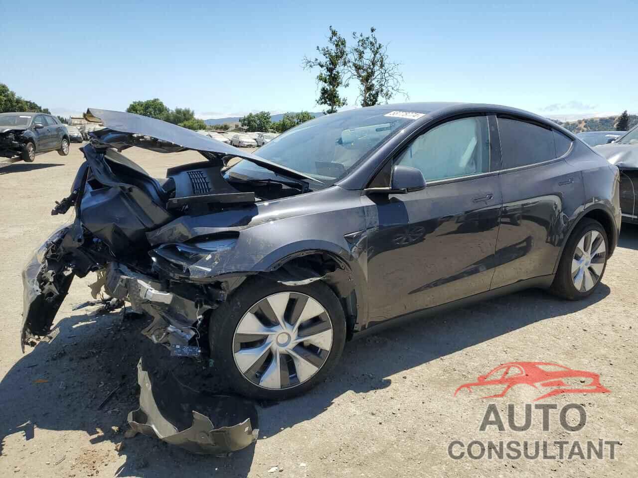 TESLA MODEL Y 2024 - 7SAYGDEE7RF069926