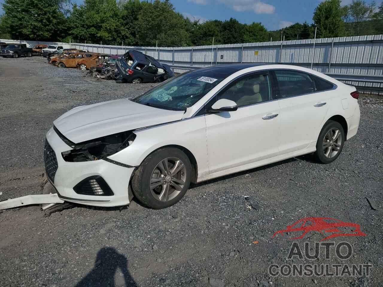 HYUNDAI SONATA 2019 - 5NPE34AF6KH776453