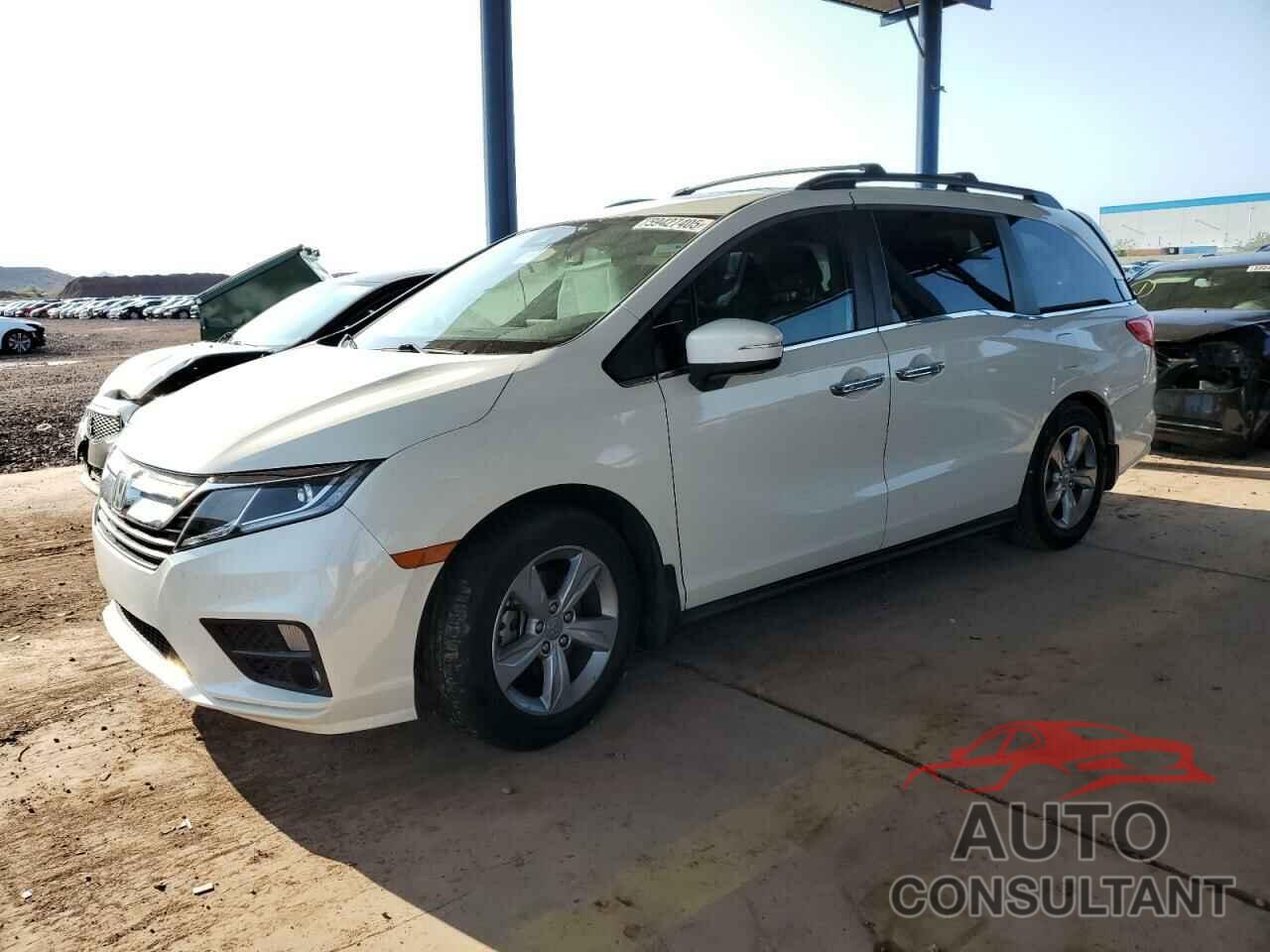 HONDA All Models 2019 - 5FNRL6H75KB062680