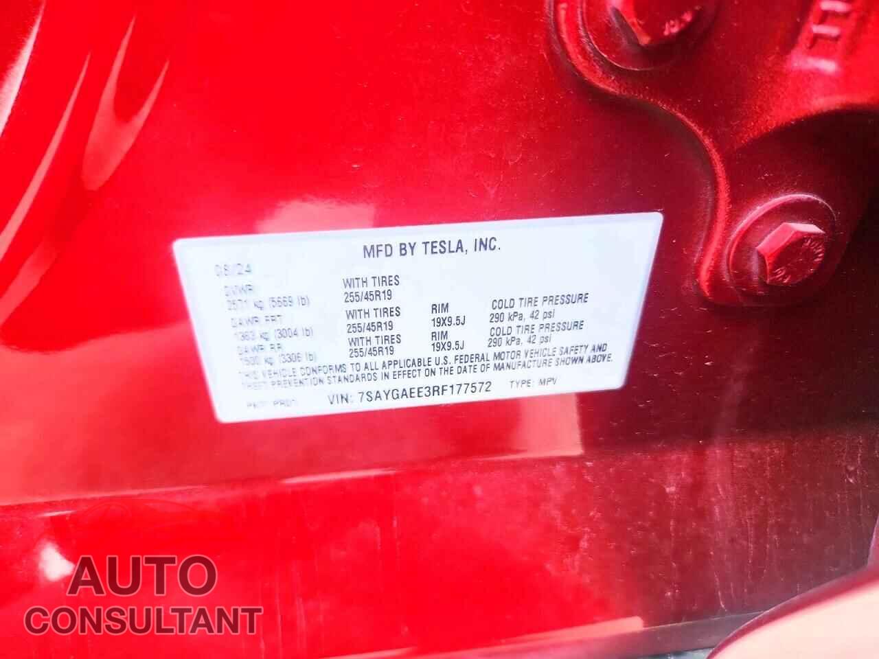 TESLA MODEL Y 2024 - 7SAYGAEE3RF177572