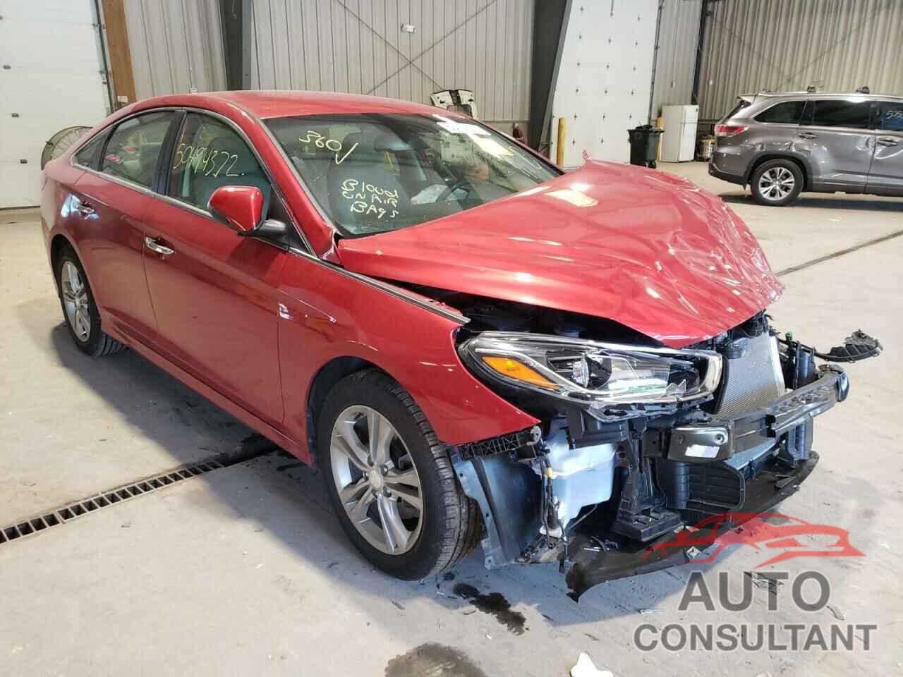 HYUNDAI SONATA 2019 - 5NPE34AF7KH780351