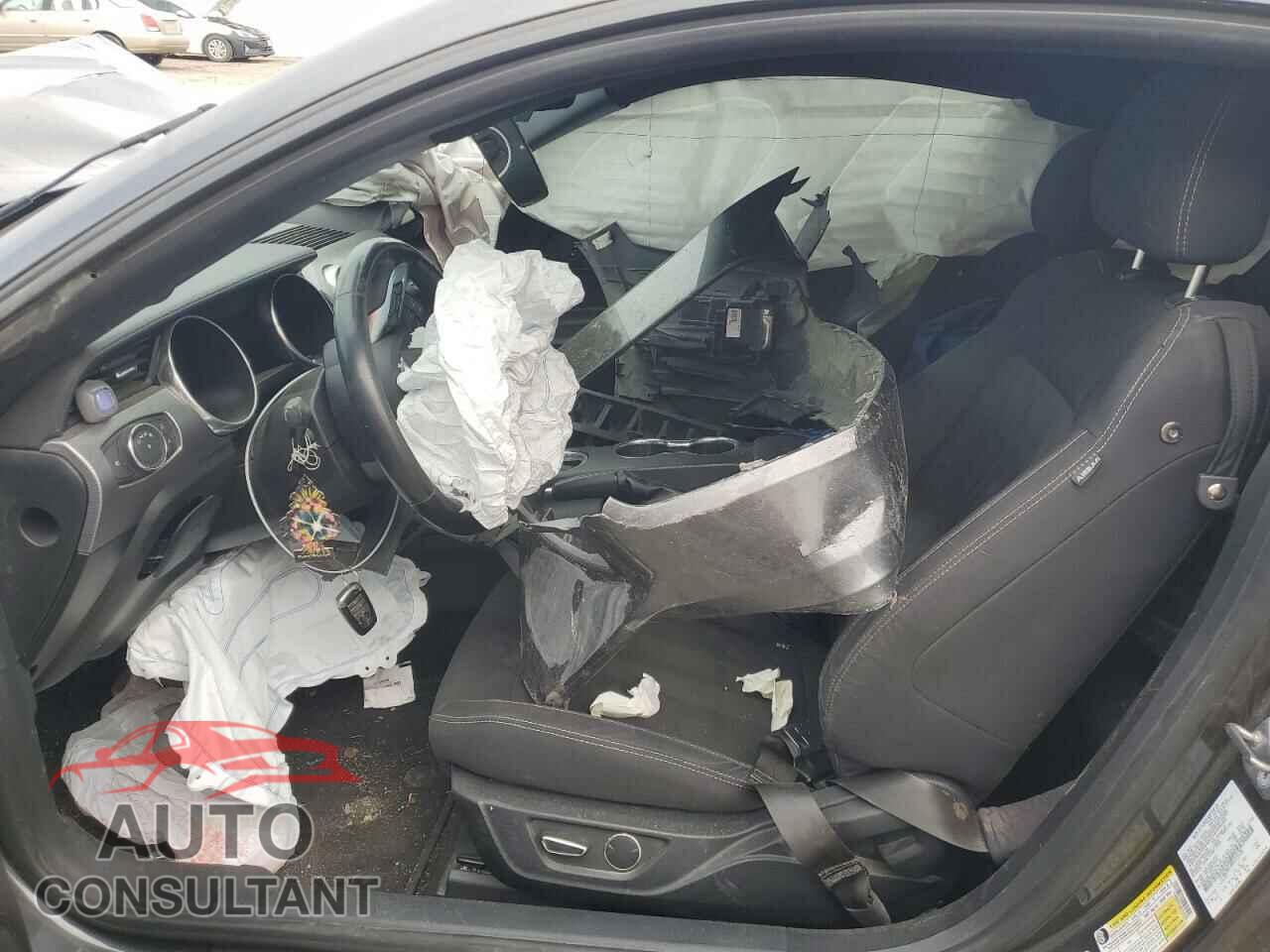 FORD MUSTANG 2019 - 1FA6P8CF2K5115120