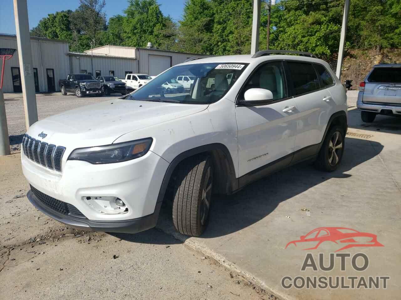 JEEP CHEROKEE 2019 - 1C4PJLDB2KD346300