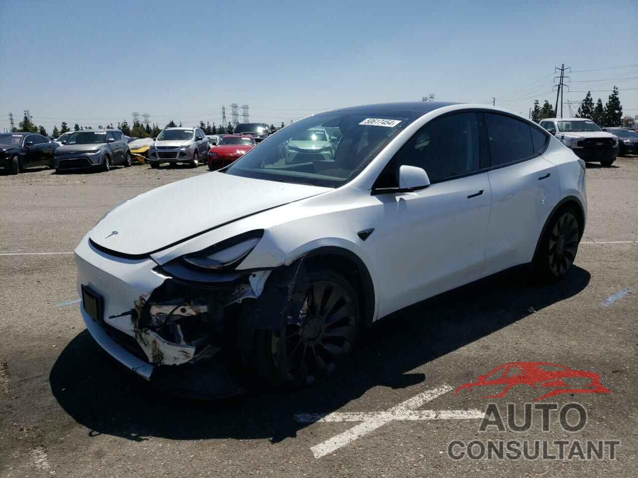 TESLA MODEL Y 2022 - 7SAYGDEF1NF508511