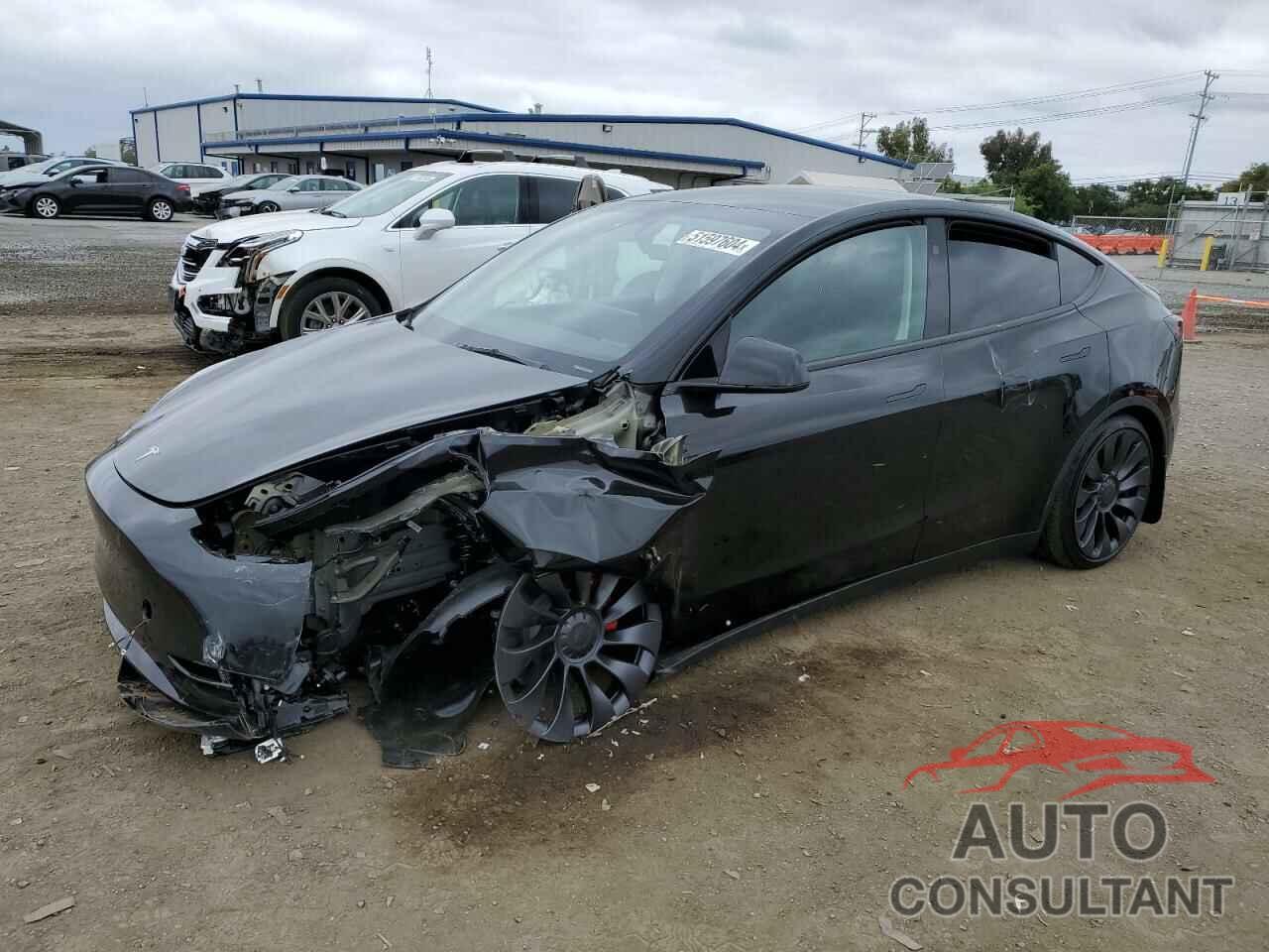 TESLA MODEL Y 2024 - 7SAYGDEF2RF059362