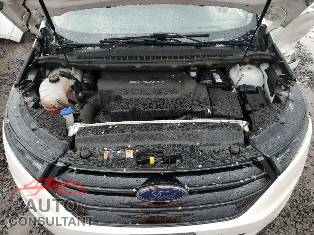 FORD EDGE 2018 - 2FMPK4AP0JBB12823
