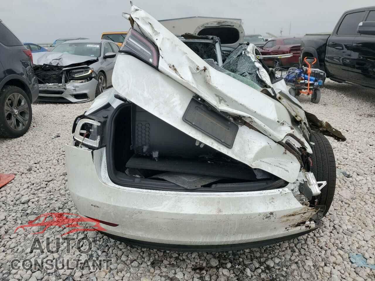 TESLA MODEL 3 2019 - 5YJ3E1EB2KF513401