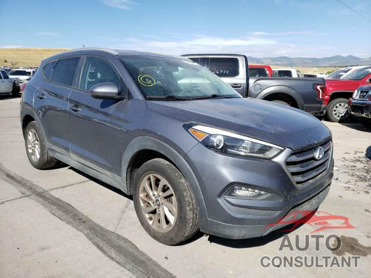 HYUNDAI TUCSON 2017 - KM8J3CA41HU262026