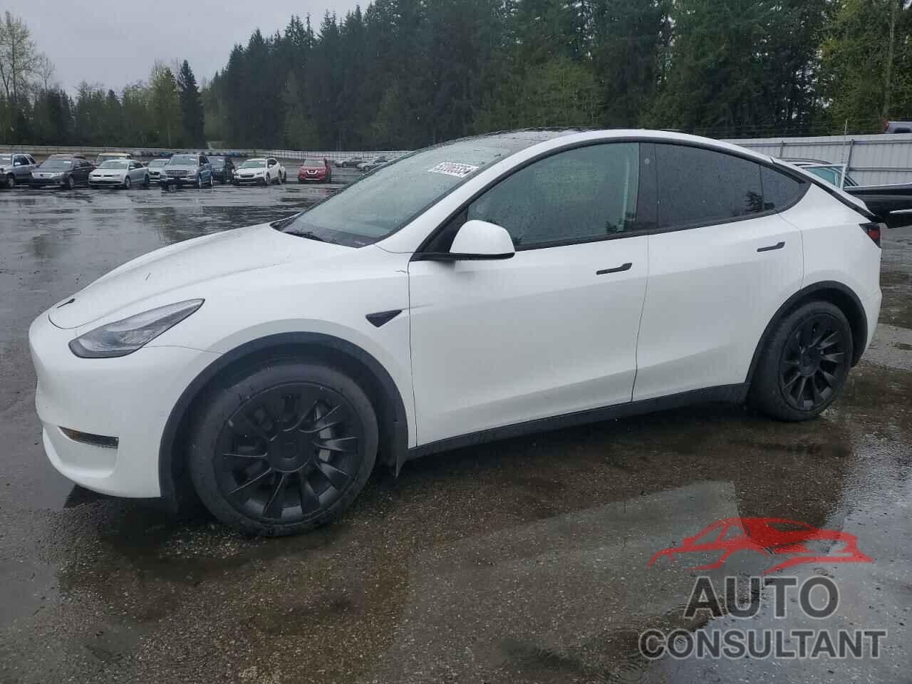 TESLA MODEL Y 2021 - 5YJYGAEE2MF115988