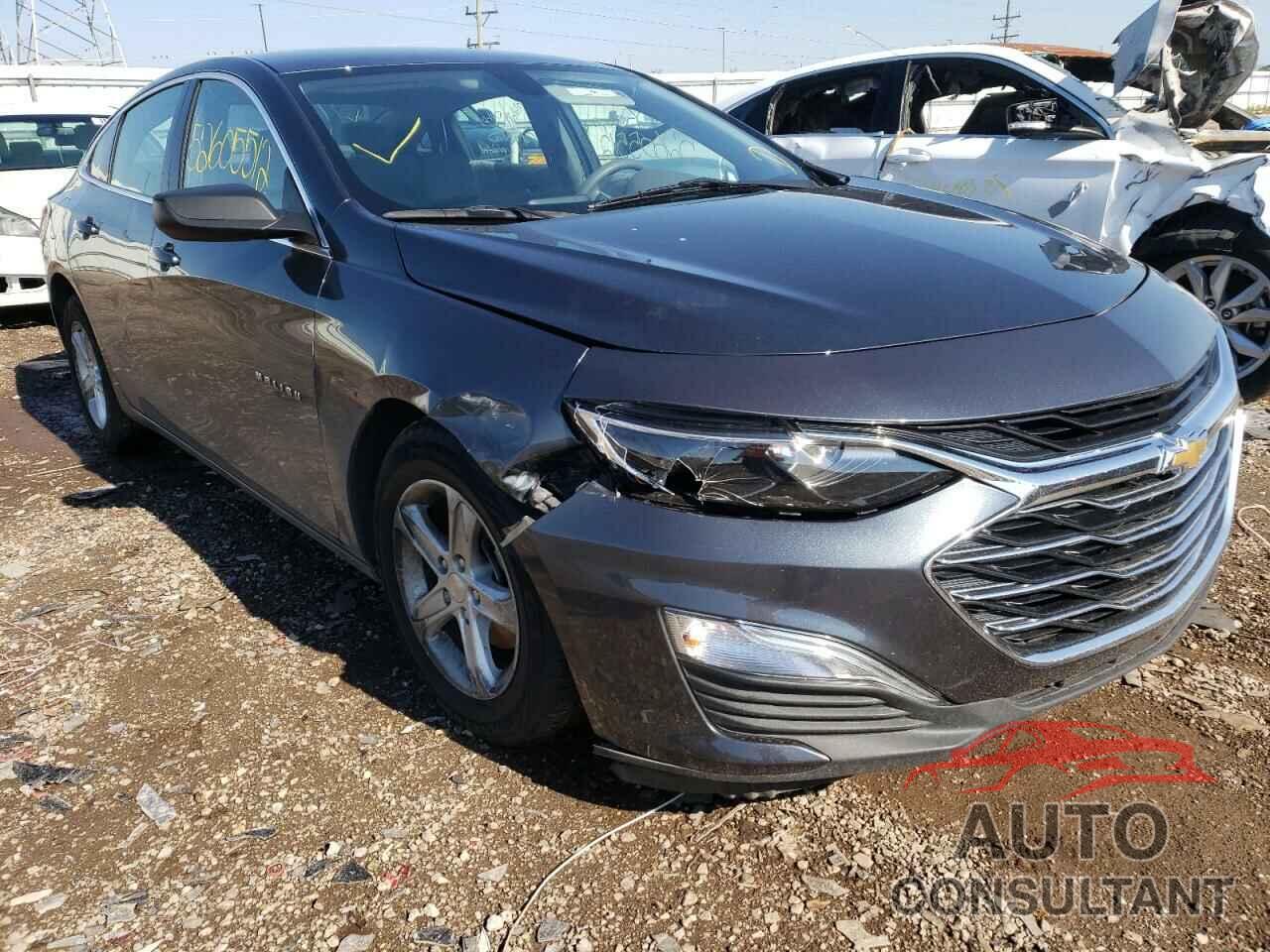 CHEVROLET MALIBU 2019 - 1G1ZB5ST6KF222296