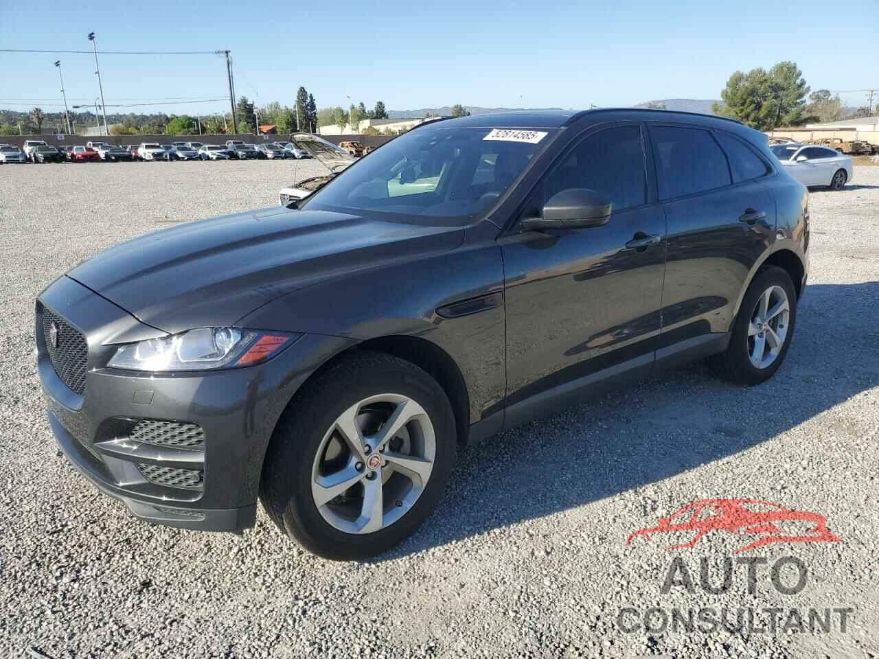 JAGUAR F-PACE 2020 - SADCJ2FX4LA618158