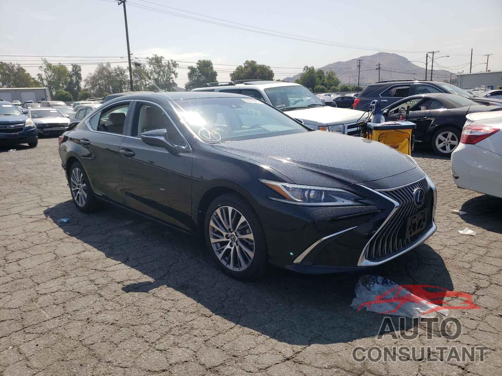 LEXUS ES300 2020 - 58AD21B10LU006731