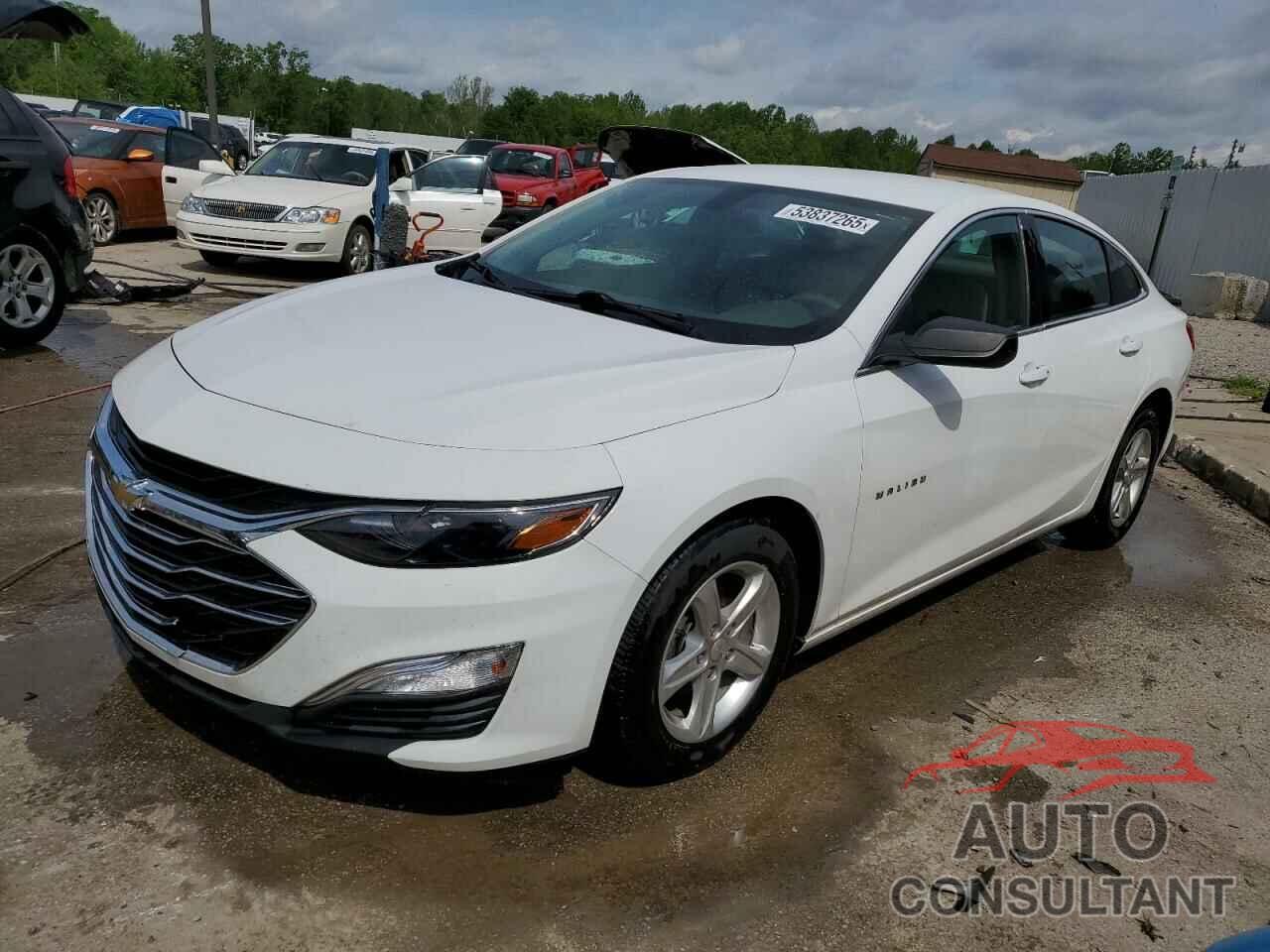CHEVROLET MALIBU 2020 - 1G1ZB5ST4LF147552