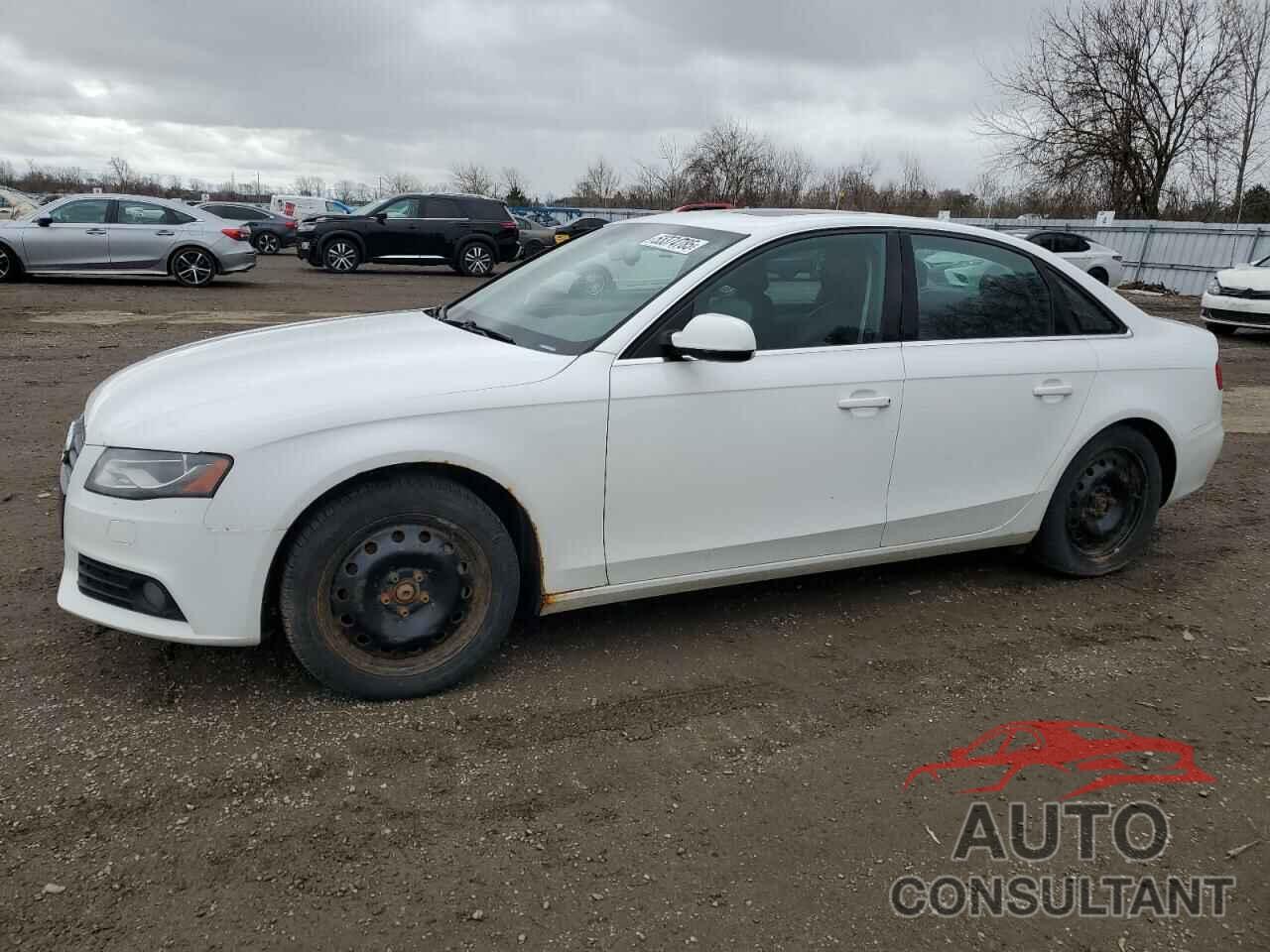 AUDI A4 2011 - WAUFFCFL5BN012451