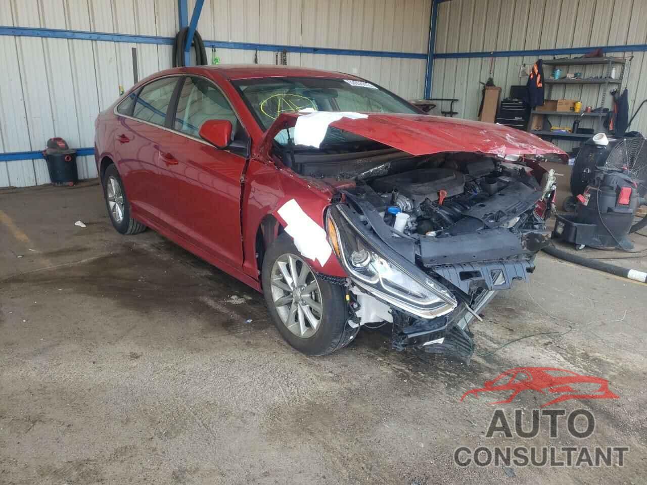 HYUNDAI SONATA 2019 - 5NPE24AF4KH763851