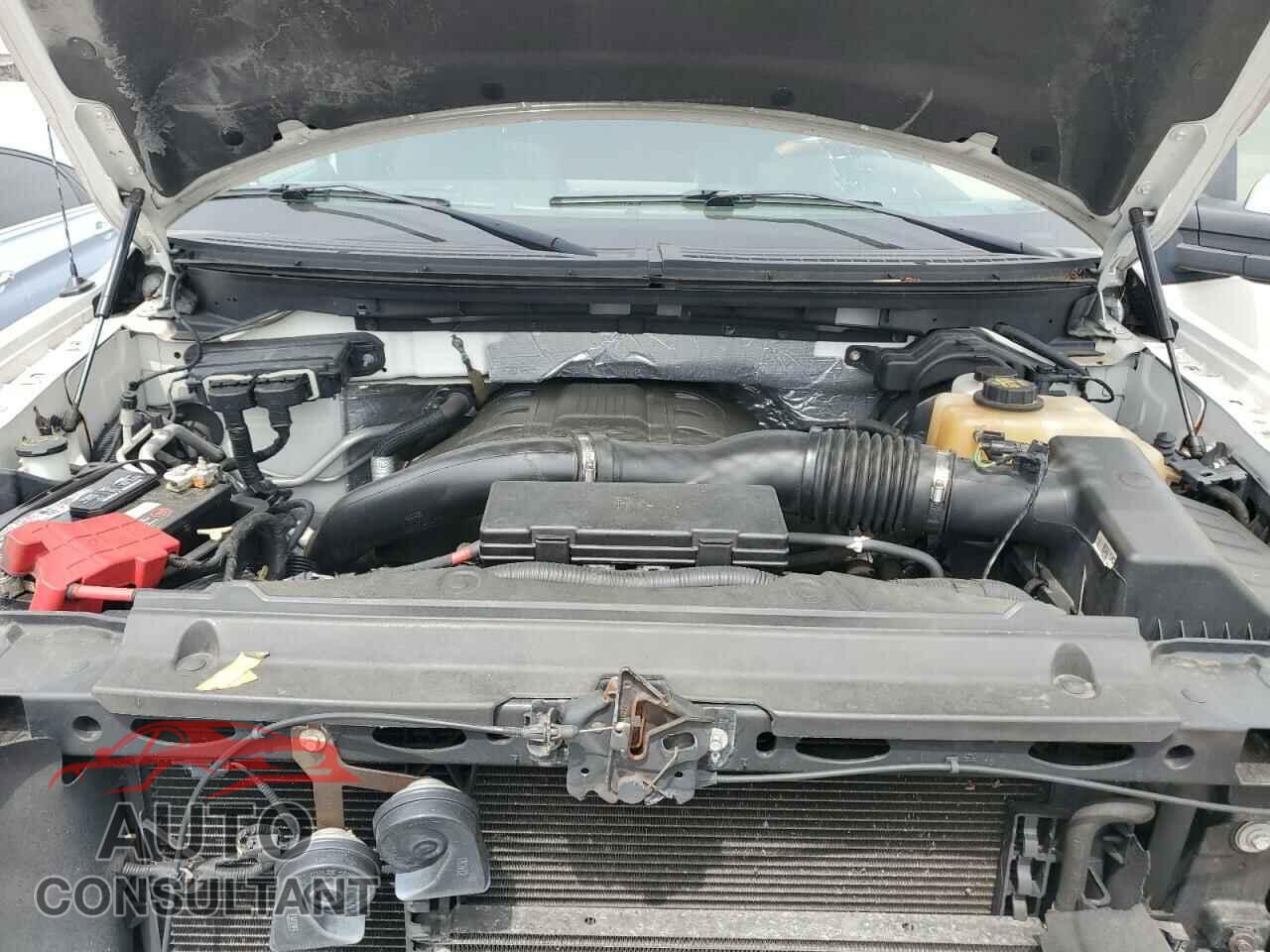 FORD F-150 2013 - 1FTFW1ET8DFC52566