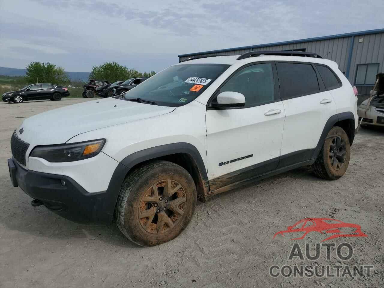 JEEP GRAND CHER 2019 - 1C4PJMCX5KD448998