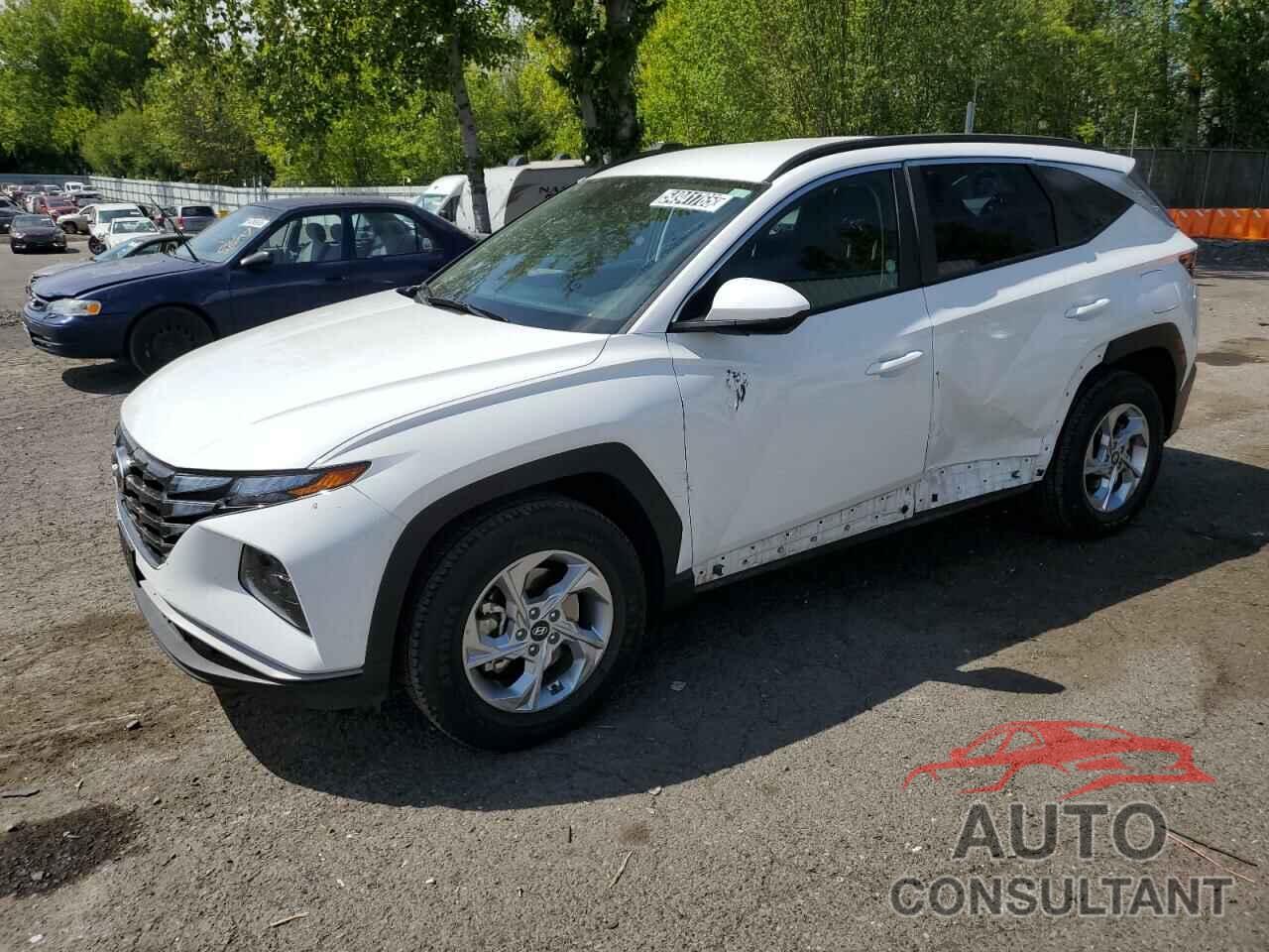 HYUNDAI TUCSON 2024 - 5NMJBCDE1RH324741