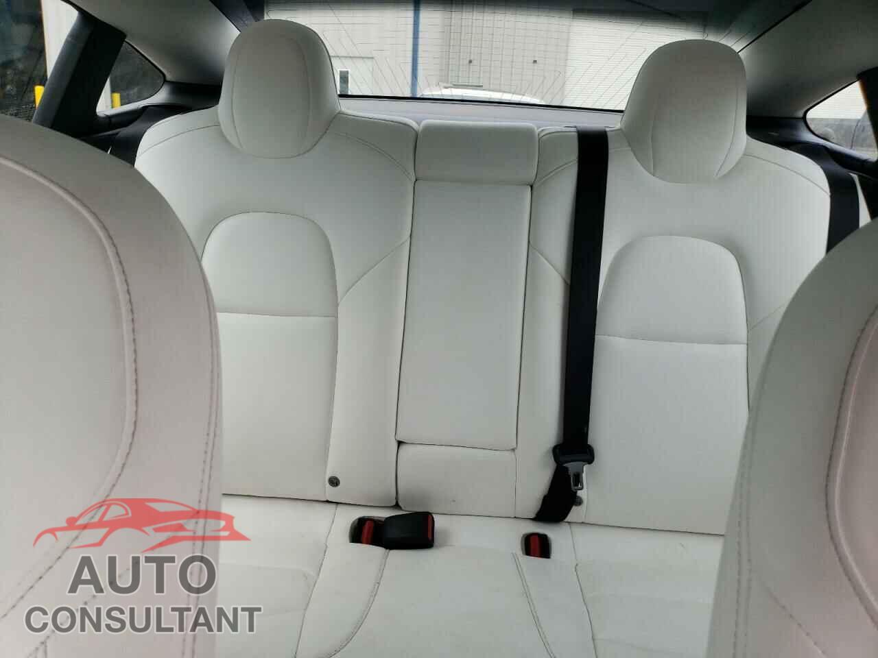 TESLA MODEL 3 2019 - 5YJ3E1EBXKF194829