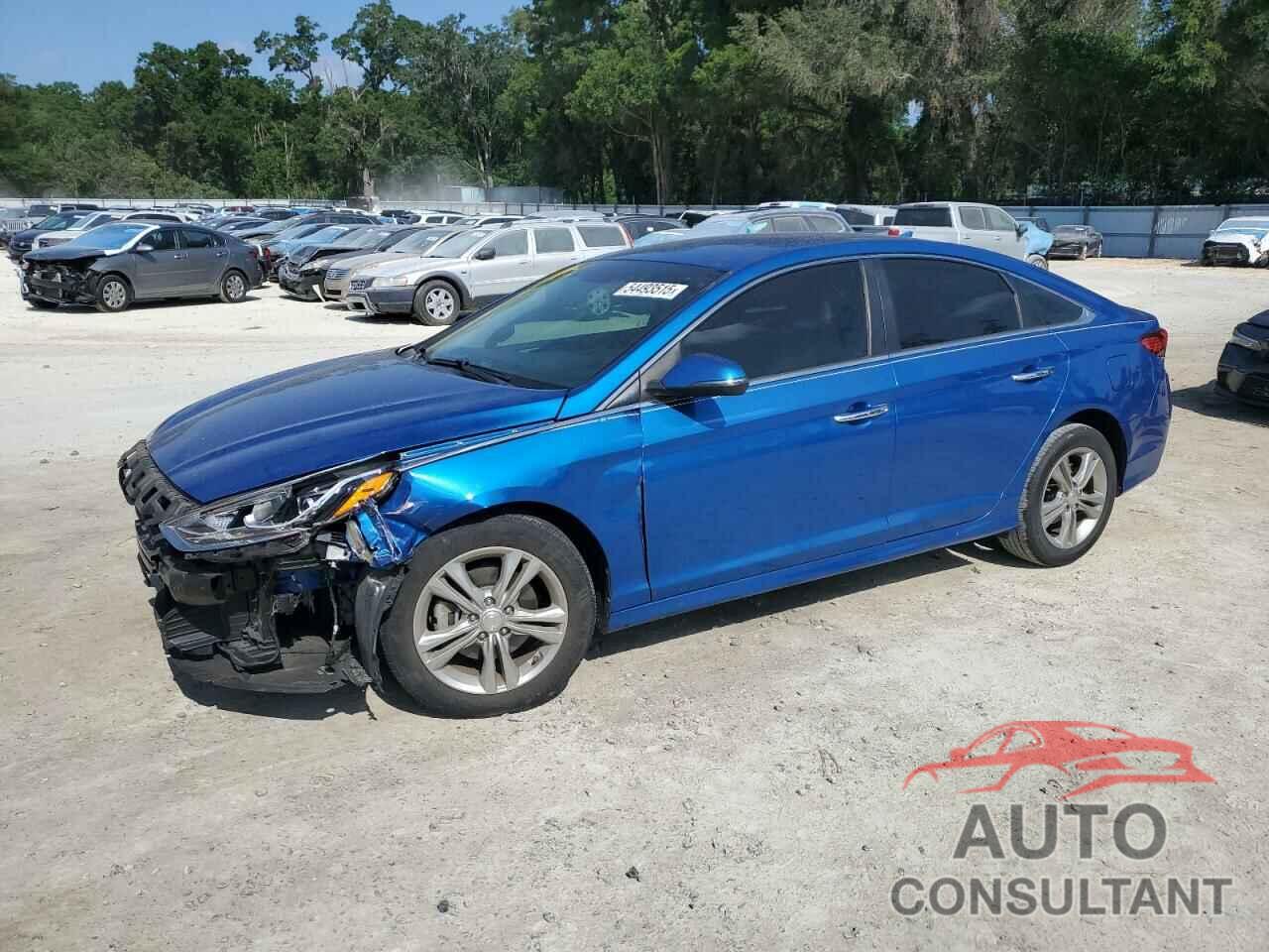 HYUNDAI SONATA 2019 - 5NPE34AF0KH750219